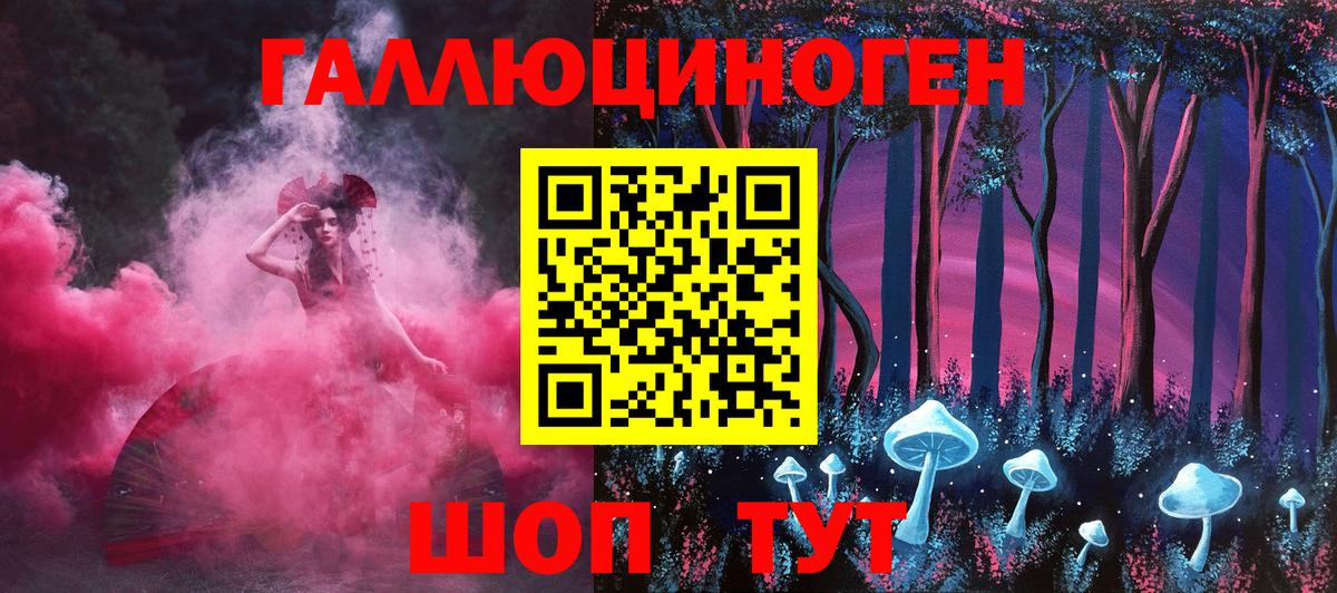 Галлюциногенные грибы Psilocybe Мурманск