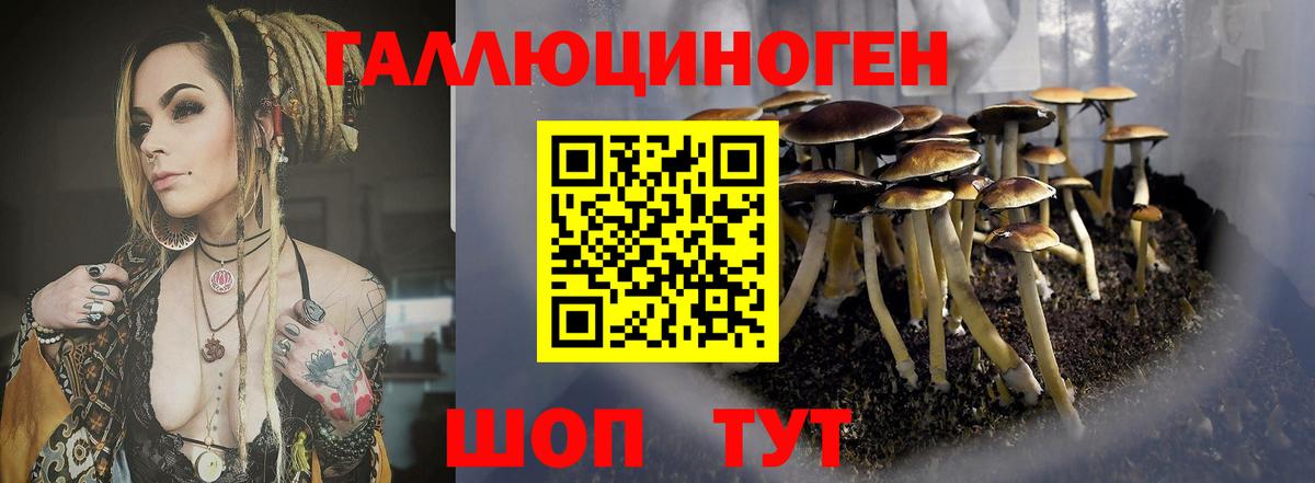 Псилоцибиновые грибы Cubensis  Вход с VPN  Мурманск  Псилоцибиновые грибы Magic Shrooms 